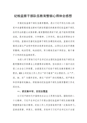 纪检监察干部队伍教育整顿心得体会感想（3篇）范本.docx