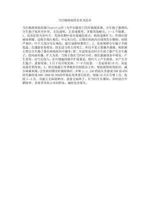 当归褐斑病的危害及防治.docx