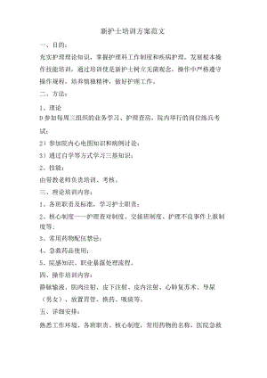 新护士培训计划范文.docx