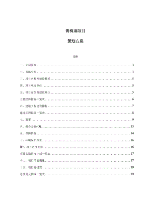 青梅酒项目策划方案.docx