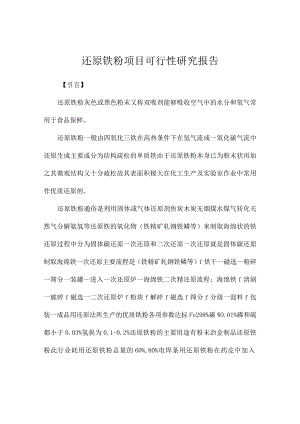 还原铁粉项目可行性研究报告.docx