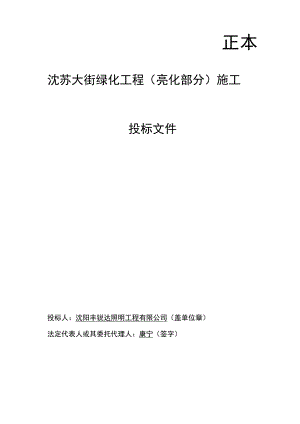 沈苏大街亮化投标文件.docx