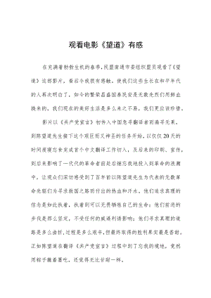 观看电影《望道》有感七篇.docx