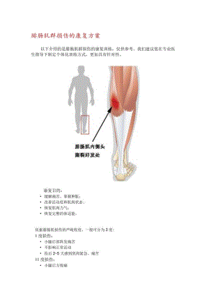 腓肠肌群损伤的康复方案.docx