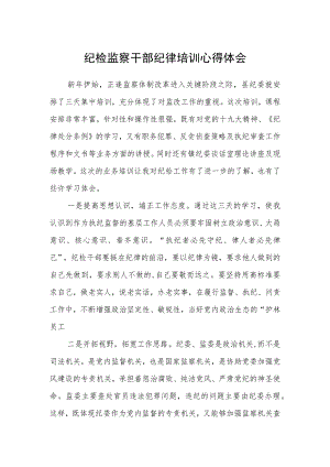纪检监察干部纪律培训心得体会.docx