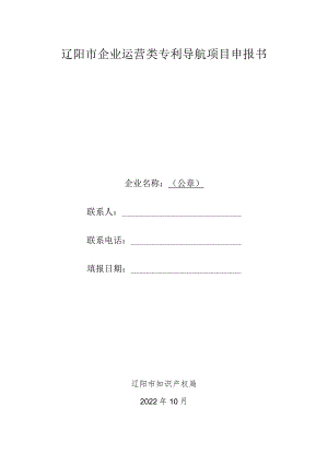 辽阳市企业运营类专利导航项目申报书.docx