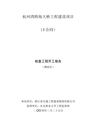 项目开工情况说明.docx