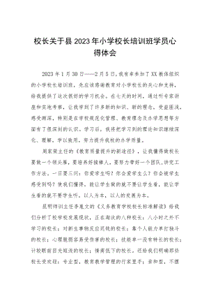 小学校长2023年度培训心得体会三篇模板.docx