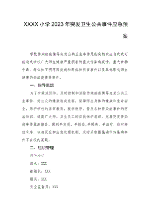 小学2023年突发卫生公共事件应急预案.docx