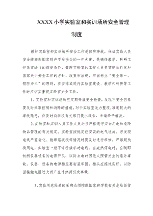 小学实验室和实训场所安全管理制度.docx