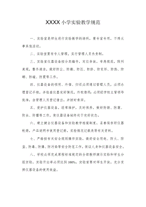 小学实验教学规范.docx