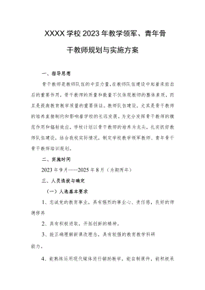 学校2023年教学领军、青年骨干教师规划与实施方案.docx
