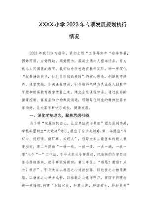 小学2023年专项发展规划执行情况.docx
