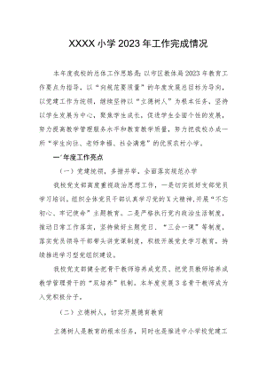 小学2023年工作完成情况.docx