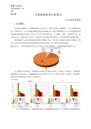 宝新能源财务分析报告-从投资者角度.docx