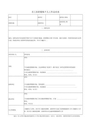员工挂职锻炼个人工作总结表.docx