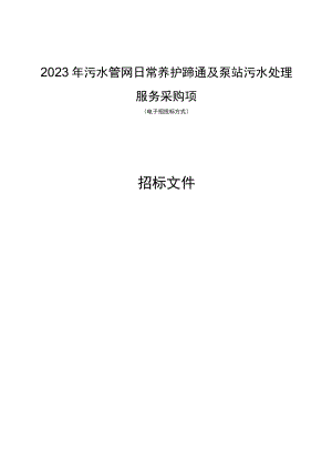 污水管网日常养护疏通及泵站污水处理服务采购项目招标文件.docx