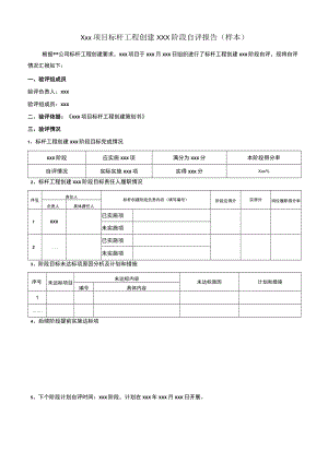 标杆工程阶段自评报告（范本）.docx