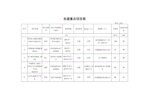 在建重点项目表.docx