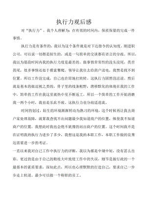 执行力观后感.docx