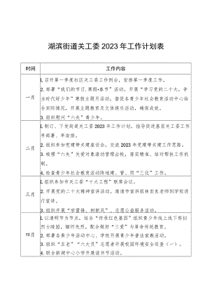 湖滨街道关工委2023年工作计划表.docx