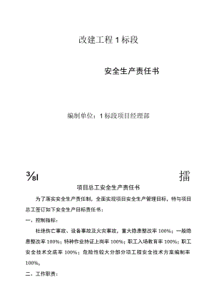 项目总工安全生产责任书.docx