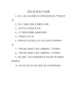 项目安全生产纪律.docx