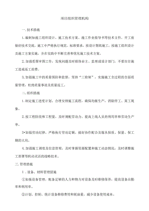 项目组织管理机构.docx