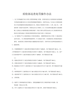 质检部巡查处罚操作办法.docx