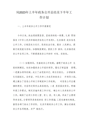 局2023年上半年政务公开总结及下半年工作计划.docx