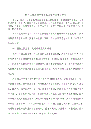 树牢正确政绩观推动高质量发展体会发言.docx