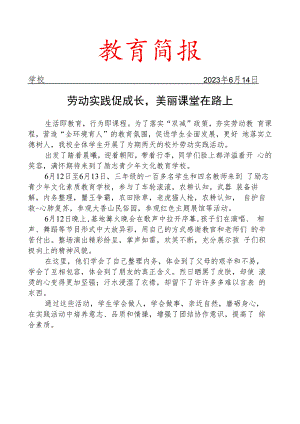开展校外实践活动简报.docx