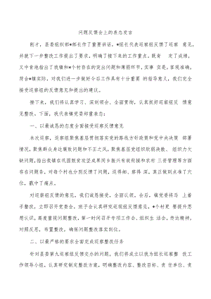 问题反馈会上的表态发言.docx