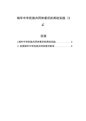 铸牢中华民族共同体意识的高校实践（2篇）.docx
