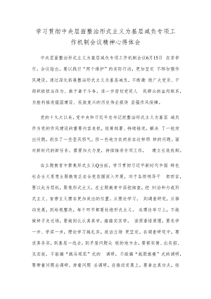 学习贯彻中央层面整治形式主义为基层减负专项工作机制会议精神心得体会.docx