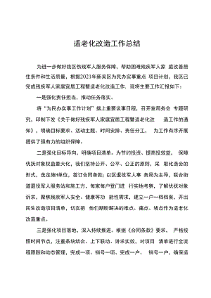 适老化改造总结.docx