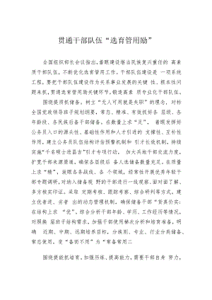 贯通干部队伍“选育管用励”.docx