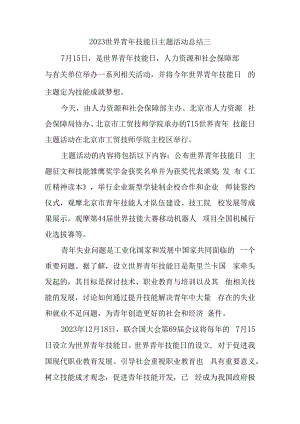 2023世界青年技能日主题活动总结三.docx