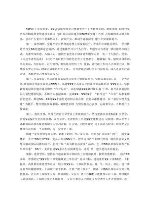 党委（党组）2023年上半年党建工作情况总结及下半年工作计划（6月）.docx