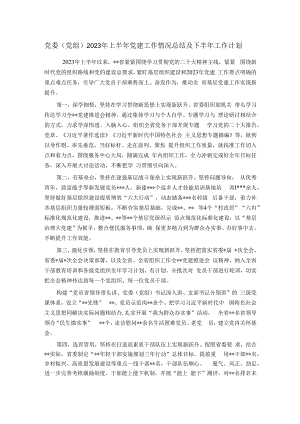党委（党组）2023年上半年党建工作情况总结及下半年工作计划.docx
