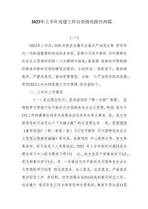 2023年上半年党建工作自查情况报告两篇.docx