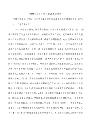 2023年上半年党风廉政建设总结.docx