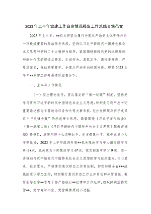 2023年上半年党建工作自查情况报告工作总结合集范文.docx