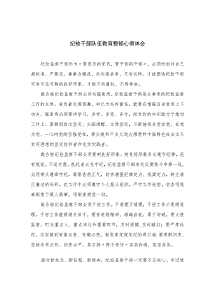 纪检干部队伍教育整顿心得体会精选(通用六篇).docx