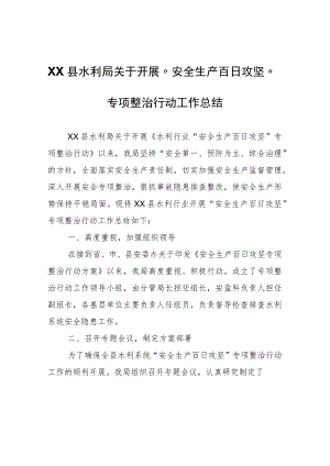 XX县水利局关于开展“安全生产百日攻坚”专项整治行动工作总结.docx