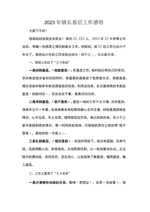 2023年镇长基层工作感悟.docx