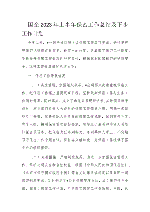 国企2023年上半年保密工作总结及下步工作计划.docx