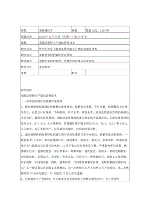 龙眼教案1.docx