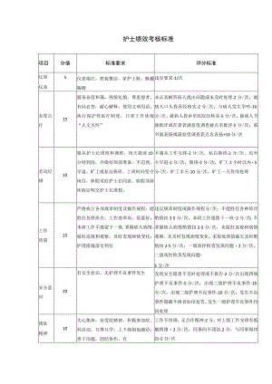 护士绩效考核标准.docx