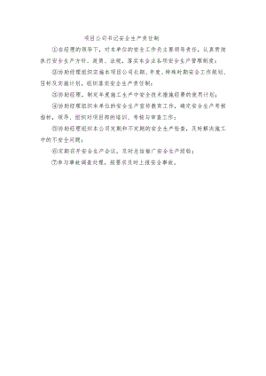 项目公司书记安全生产责任制.docx